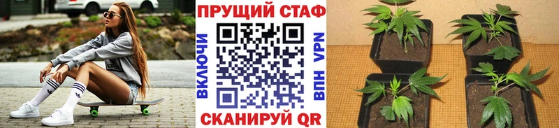 A PVP Морозовск