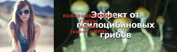 соль ск Зерноград