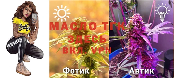 стаф Абдулино