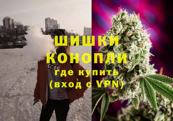 гашик Алексеевка